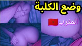 سكس عربي - وضع الكلبة